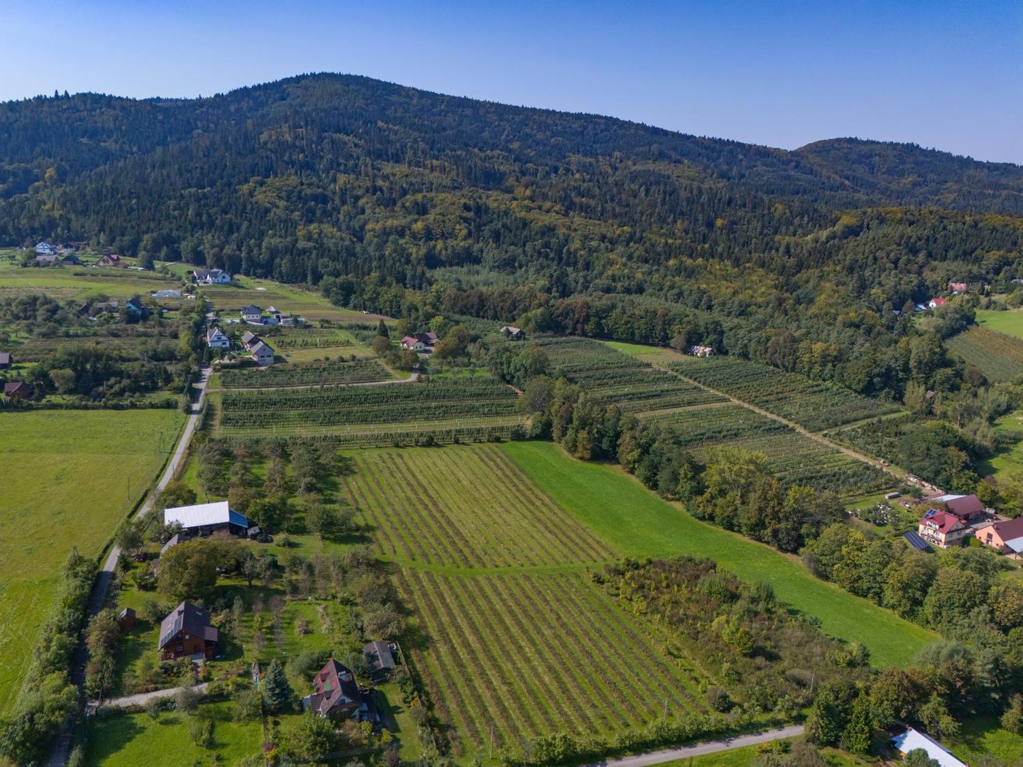 Ferienhaus Piotrowiczowka Osada W Szczyrzycu